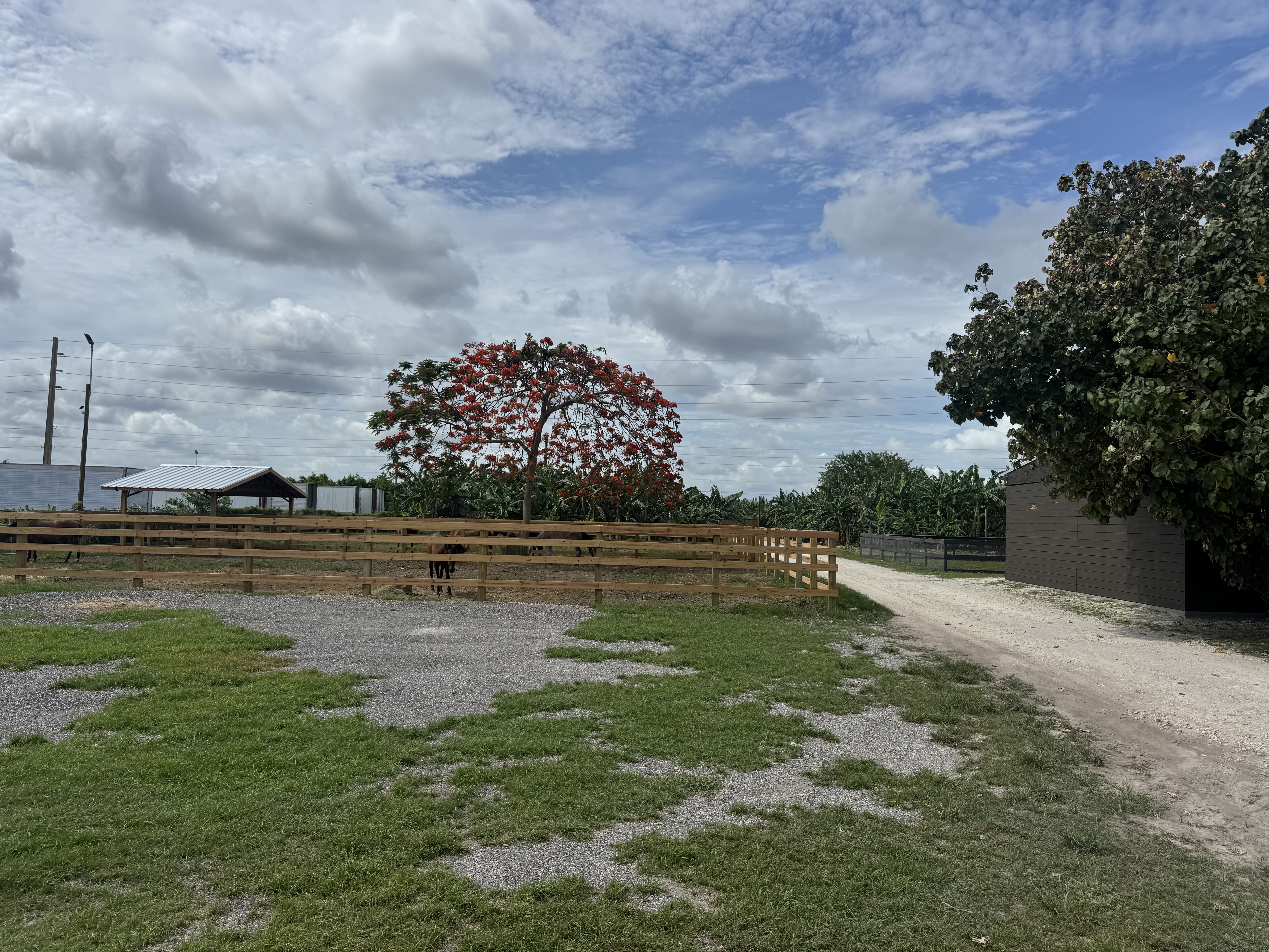 Hacienda JS Miami
